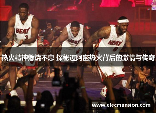 热火精神燃烧不息 探秘迈阿密热火背后的激情与传奇 热火精神燃烧不息 探秘迈阿密热火背后的激情与传奇