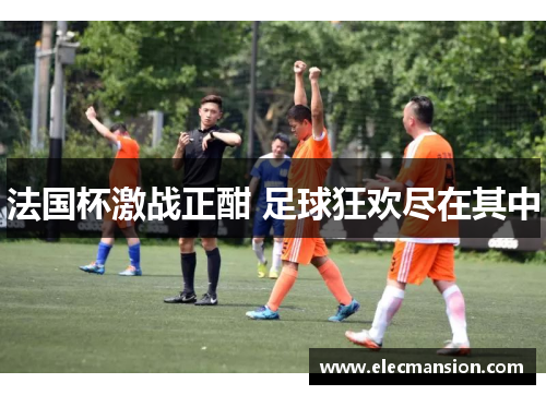 法国杯激战正酣 足球狂欢尽在其中 法国杯激战正酣 足球狂欢尽在其中
